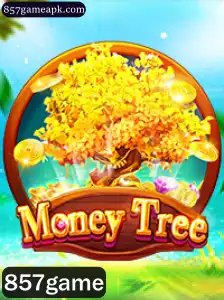 Tudo Sobre MoneyTree: Mergulhe no Inovador Jogo 857game